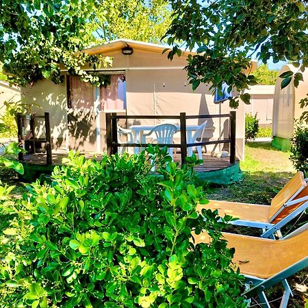 International Glamping Lago Di Bracciano Trevignano Romano Eksteriør bilde