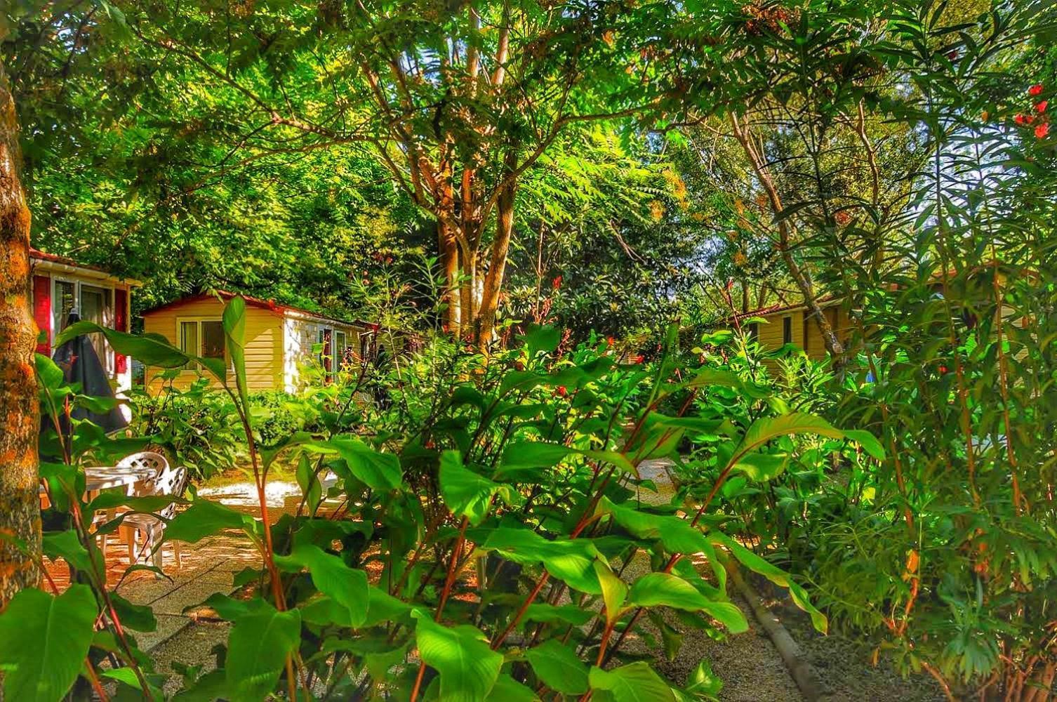 International Glamping Lago Di Bracciano Trevignano Romano Eksteriør bilde